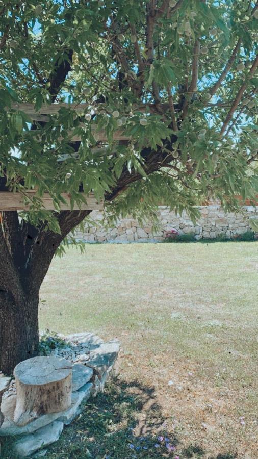 Ražanac Velebit 아파트 외부 사진